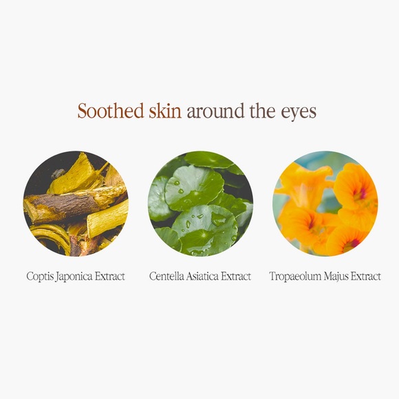 Pyunkang Yul - Black Tea Time Reverse Eye Cream (25ml) - Picture 8 of 9